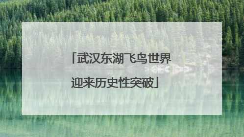 武汉东湖飞鸟世界迎来历史性突破