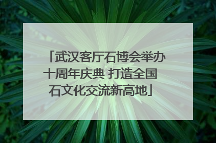 武汉客厅石博会举办十周年庆典 打造全国石文化交流新高地