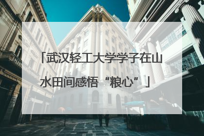 武汉轻工大学学子在山水田间感悟“粮心”