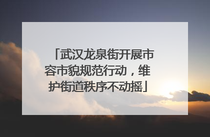 武汉龙泉街开展市容市貌规范行动，维护街道秩序不动摇
