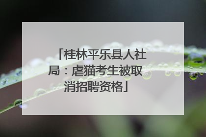 桂林平乐县人社局：虐猫考生被取消招聘资格