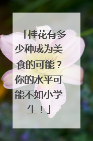 桂花有多少种成为美食的可能？你的水平可能不如小学生！