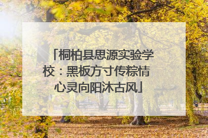 桐柏县思源实验学校：黑板方寸传粽情 心灵向阳沐古风