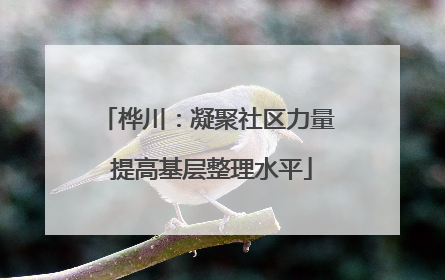 桦川：凝聚社区力量 提高基层整理水平