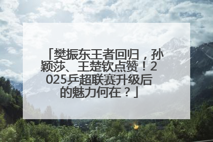 樊振东王者回归，孙颖莎、王楚钦点赞！2025乒超联赛升级后的魅力何在？