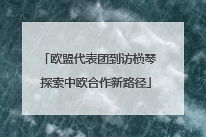 欧盟代表团到访横琴 探索中欧合作新路径
