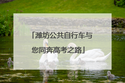 潍坊公共自行车与您同奔高考之路