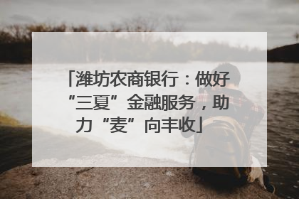 潍坊农商银行：做好“三夏”金融服务，助力“麦”向丰收