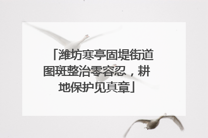 潍坊寒亭固堤街道图斑整治零容忍，耕地保护见真章
