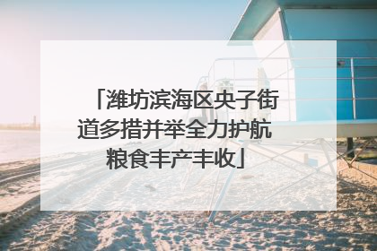 潍坊滨海区央子街道多措并举全力护航粮食丰产丰收