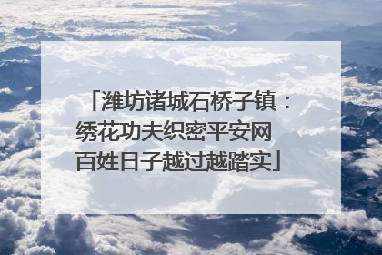 潍坊诸城石桥子镇：绣花功夫织密平安网 百姓日子越过越踏实