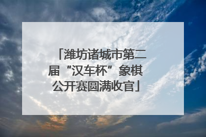 潍坊诸城市第二届“汉车杯”象棋公开赛圆满收官