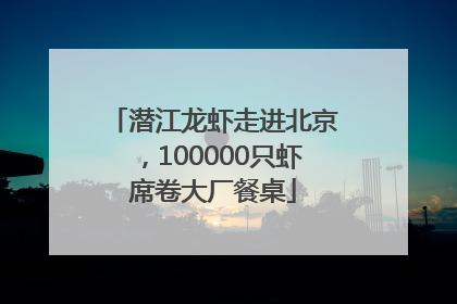 潜江龙虾走进北京，100000只虾席卷大厂餐桌