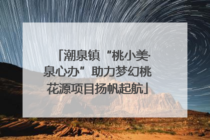 潮泉镇“桃小美·泉心办”助力梦幻桃花源项目扬帆起航