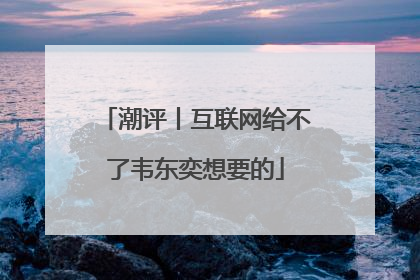 潮评丨互联网给不了韦东奕想要的