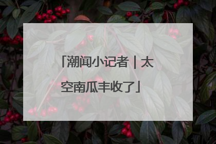潮闻小记者｜太空南瓜丰收了