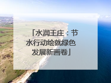 水润王庄：节水行动绘就绿色发展新画卷