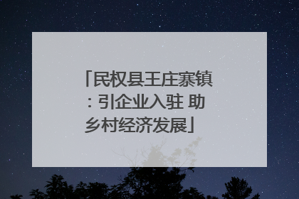 民权县王庄寨镇：引企业入驻 助乡村经济发展