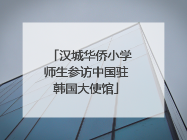 汉城华侨小学师生参访中国驻韩国大使馆