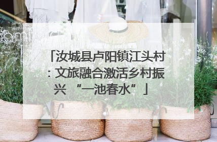 汝城县卢阳镇江头村：文旅融合激活乡村振兴 “一池春水”