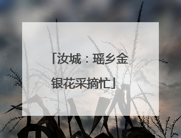 汝城：瑶乡金银花采摘忙
