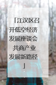 江汉区召开低空经济发展座谈会 共商产业发展新路径