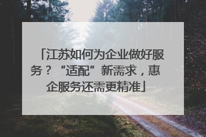 江苏如何为企业做好服务？“适配”新需求，惠企服务还需更精准