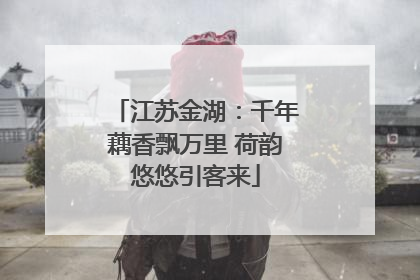 江苏金湖：千年藕香飘万里 荷韵悠悠引客来