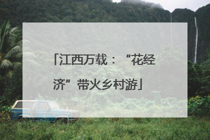 江西万载：“花经济”带火乡村游