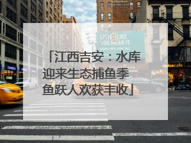 江西吉安：水库迎来生态捕鱼季 鱼跃人欢获丰收