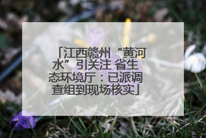 江西赣州“黄河水”引关注 省生态环境厅：已派调查组到现场核实