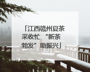 江西赣州夏茶采收忙 “新茶勃发”助振兴
