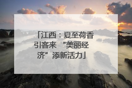 江西：夏至荷香引客来 “美丽经济”添新活力