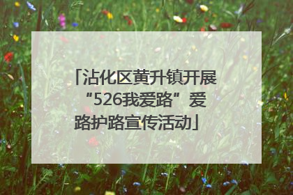 沾化区黄升镇开展“526我爱路”爱路护路宣传活动