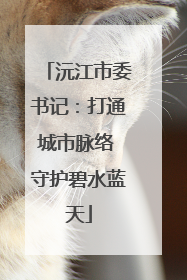 沅江市委书记：打通城市脉络 守护碧水蓝天