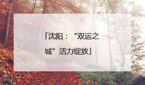 沈阳：“双运之城”活力绽放