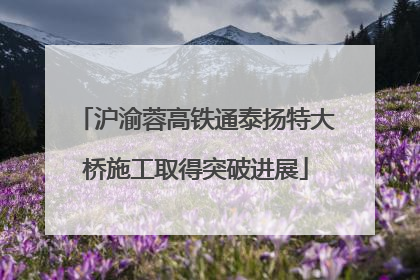 沪渝蓉高铁通泰扬特大桥施工取得突破进展