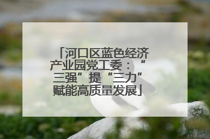 河口区蓝色经济产业园党工委：“三强”提“三力”赋能高质量发展