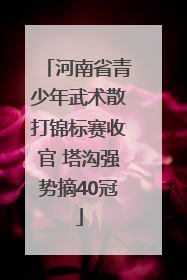 河南省青少年武术散打锦标赛收官 塔沟强势摘40冠