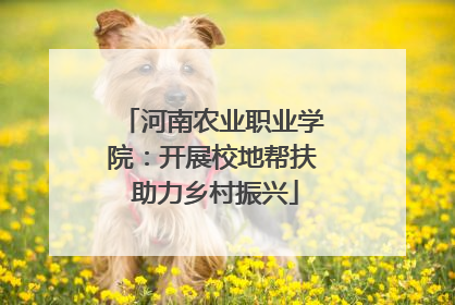 河南农业职业学院：开展校地帮扶 助力乡村振兴