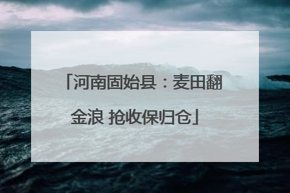 河南固始县：麦田翻金浪 抢收保归仓