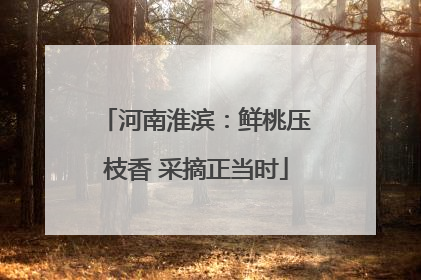 河南淮滨：鲜桃压枝香 采摘正当时