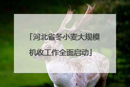 河北省冬小麦大规模机收工作全面启动