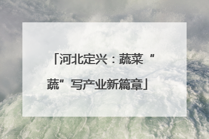 河北定兴：蔬菜“蔬”写产业新篇章