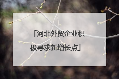 河北外贸企业积极寻求新增长点