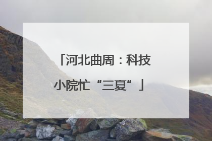 河北曲周：科技小院忙“三夏”