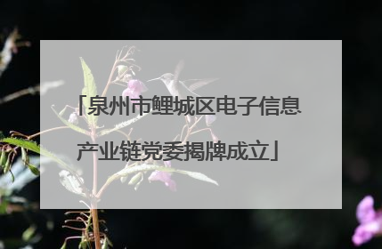 泉州市鲤城区电子信息产业链党委揭牌成立