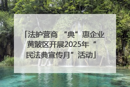 法护营商 “典”惠企业 黄陂区开展2025年“民法典宣传月”活动
