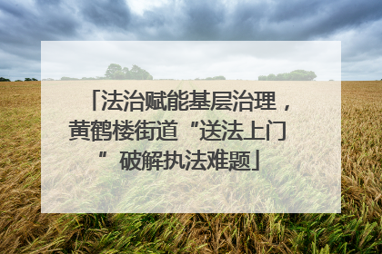 法治赋能基层治理，黄鹤楼街道“送法上门”破解执法难题