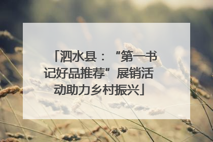 泗水县：“第一书记好品推荐”展销活动助力乡村振兴